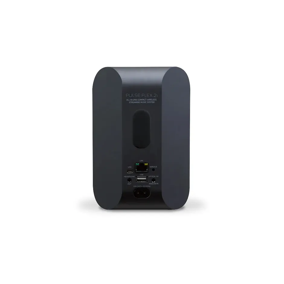 Retro con le connessioni del Bluesound Pulse Flex 2i